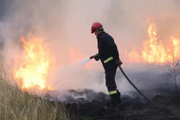 La Agencia Federal de Emergencias publicó recomendaciones para evitar incendios forestales