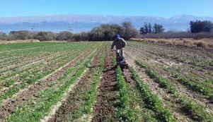 Denuncian avanzada del Frente de Todos para expropiar tierras del INTA