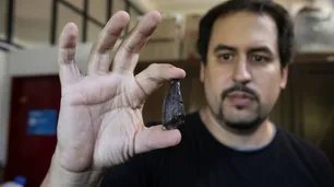 Hallazgo de científicos argentinos podrían responder dudas sobre la extinción de los dinosaurios
