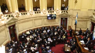 Con críticas por la caída de la comisión para investigar a Milei, el Senado aprobó la suspensión de las PASO