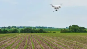 Drones pulverizadores en el agro: se reclama reglas claras para garantizar la seguridad de las aplicaciones