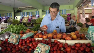 Mercado Central: cuáles son los precios de la fruta y la verdura