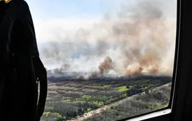 Incendios en el Delta del Paraná: así trabajan los brigadistas para combatir el fuego