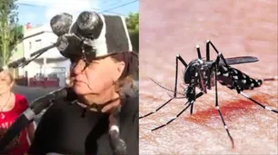 Vecinos de Villa Devoto crearon una "brigada antimosquitos" para concientizar sobre el dengue