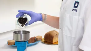 Harina de grillo para alimentos: cómo es el polvo que se estudia para consumo humano