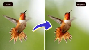 Cómo mejorar la nitidez de una imagen online de forma fácil y rápida