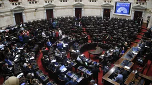 Walter Curia: "Diputados tiene en sus manos el corazón de la reforma económica"