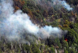 Defensa Civil logró controlar los incendios en Chubut: se perdieron 43 mil hectáreas