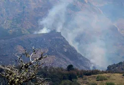 Los incendios forestales ya arrasaron con 327 mil hectáreas