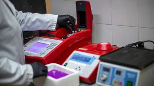 El Gobierno enviará expertos a Ushuaia tras los casos de hantavirus detectados en el crucero