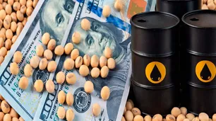 La suba del petróleo redefine el agro: la soja gana atractivo y le mete presión al maíz
