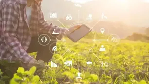 Falta de tecnología en el agro: “Es un sector que viene bastante retrasado en todo lo que es digitalización”