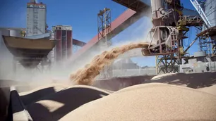 Alerta dólares: el precio del principal producto que exporta Argentina tocó su nivel más bajo en 15 años