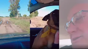 El emotivo reencuentro entre un perro y su dueño tras una intensa búsqueda: "Me siento feliz"