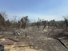 Los incendios en El Bolsón ya dejaron un muerto, más de 2.700 hectáreas devastadas y 1.000 evacuados