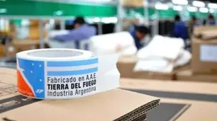 Cuáles son las 5 empresas que el gobierno excluyó de la Promoción Industrial en Tierra del Fuego y por qué lo hizo