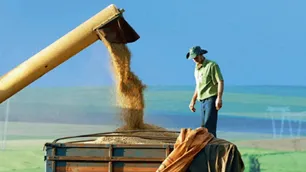 La FAO confirmó que el precio de los alimentos llegó a su récord histórico por la guerra en Ucrania
