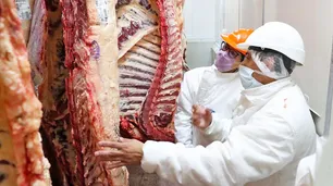 El precio de la carne no debería volver a subir hasta marzo, aseguran desde los frigoríficos