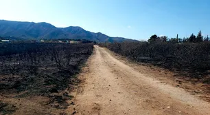Incendios en Córdoba: piden declarar zona de desastre a sectores agropecuarios afectados