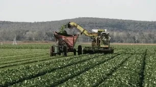 El aumento de la longevidad y las alternativas de inversión: cómo impacta en el agro