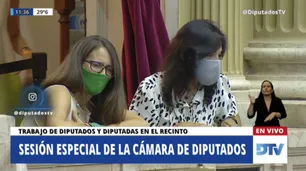 Con Vilma Ibarra y Gómez Alcorta en el palco, arrancó el debate por el aborto en Diputados