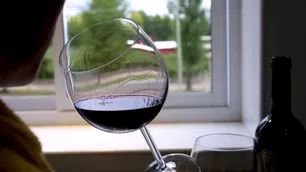 A raíz de la pandemia, se disparó un 20% el consumo de vinos