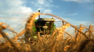 Biodiesel: la producción de Argentina registra niveles "amesetados" muy inferiores a los de Brasil