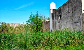 Medida inédita en Córdoba: Villa María podrá expropiar terrenos baldíos que no cumplan normas de higiene