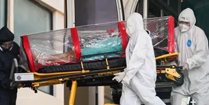 Alerta por el virus Nipah en India: confirmaron cinco casos y activan protocolos de emergencia
