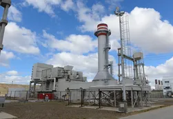 Depredadores globales y locales detrás de la guerra del petróleo