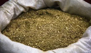 ANMAT prohibió la venta de una yerba mate por detectar Salmonella y Escherichia Coli