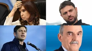 Los candidatos peronistas superan el 60% de rechazo y Javier Milei alcanza el 50,4% de imagen positiva: "Un loco que da esperanza"