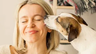 Cómo lograr una mejor conexión con nuestras mascotas