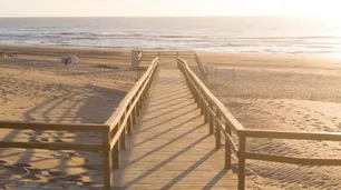 Conocé la plataforma para elegir alojamientos en Pinamar, Ostende, Valeria del Mar y Cariló