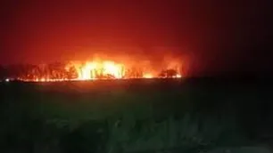 Otra vez fuego en Ezeiza: esta vez fue un sector de campos y bosques cercano al Aeropuerto