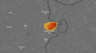 Incendios en Chubut: con más de 80 mil hectáreas arrasadas buscan que el fuego no llegue a la Península Valdés