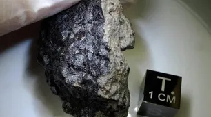Un meteorito que cayó en la Tierra podría confirmar la presencia de vida en Marte