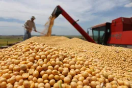 Córdoba: el Estado se queda con el 60,2% de la renta agrícola en medio del impacto global por la guerra