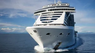 Hubo récord de pasajeros en cruceros que llegaron a la Argentina en enero