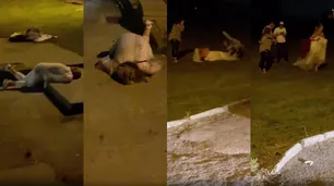 Un casamiento terminó en una batalla campal con la novia a las piñas
