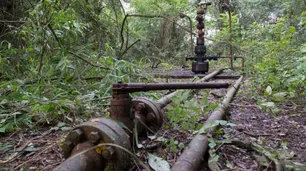 Greenpeace celebró el fallo de la Corte Suprema que obliga al cierre y remediación de la actividad petrolera en el Parque Nacional Calilegua