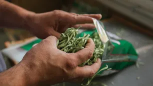 La COPAL advirtió que las restricciones para importar impactarán en la producción de alimentos
