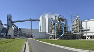 La norma de Europa que busca trabar y multar exportaciones de zonas deforestadas genera fuertes quejas y dudas de productores y exportadore