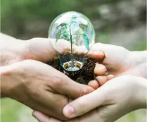Día Mundial del Medio Ambiente 2025: qué significa y cómo podés ayudar