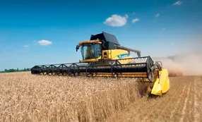 La producción mundial de cereales será récord pero no alcanzará para abastecer la demanda