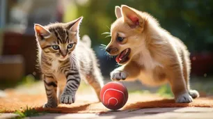 Simonetta: "El 40% de la población infantil ha sido reemplazada por perros y gatos en las grandes ciudades"