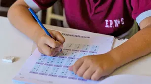 Bases para una plataforma educativa