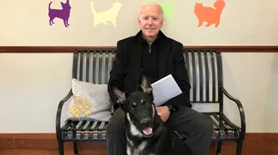 Los perros de Joe Biden, "Major" y "Champ" ya se mudaron a la Casa Blanca