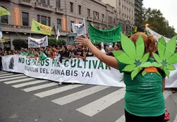 La ONU pide despenalizar la tenencia de drogas para consumo personal
