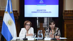 En medio de críticas al oficialismo por $LIBRA, Ficha Limpia obtuvo dictamen en el Senado